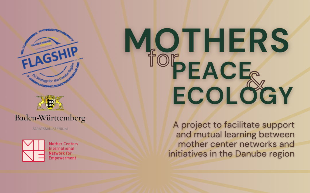 P10 EUSDR Presentation